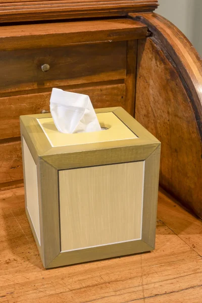 Hand Painted Tissue Box In Situ