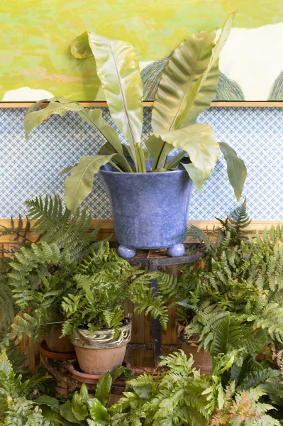 Large Earthenware Planter Blue In Situ