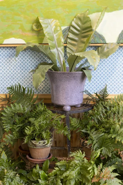 Large Earthenware Planter Manganese In Situ