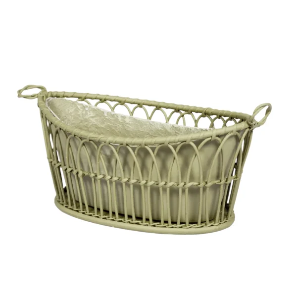 Regency Style Oval Basket With Liner Fern