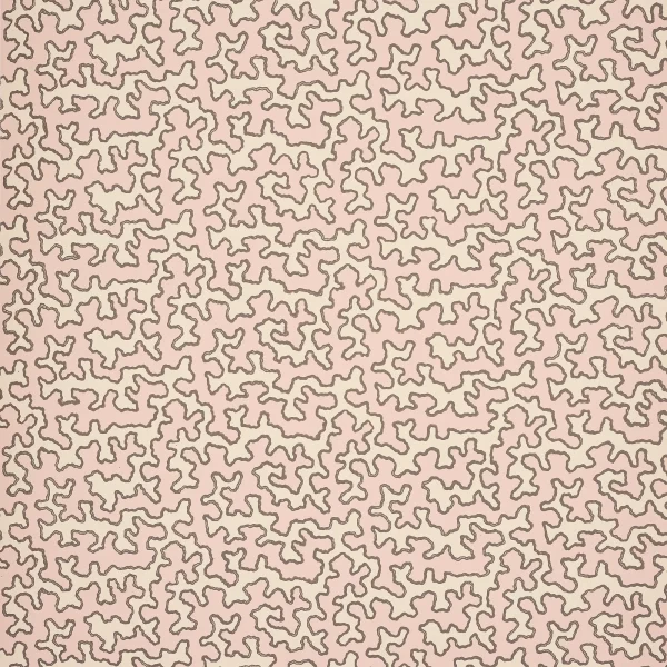 Squiggle Blush