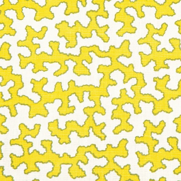 Squiggle Citron