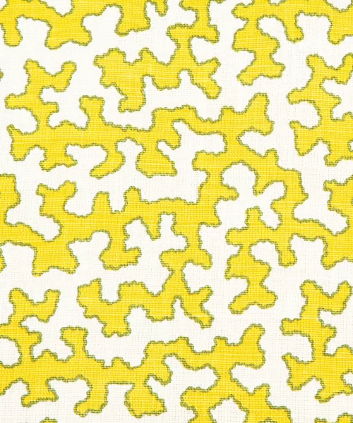 Squiggle Citron